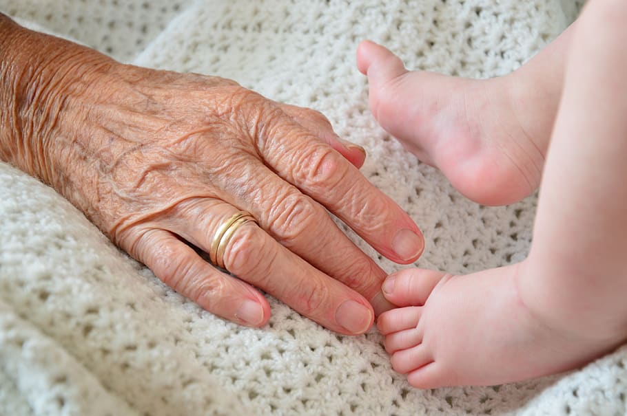 avó, neto, criança, geração, feliz, sênior, família, parte do corpo humano, mão humana, mão