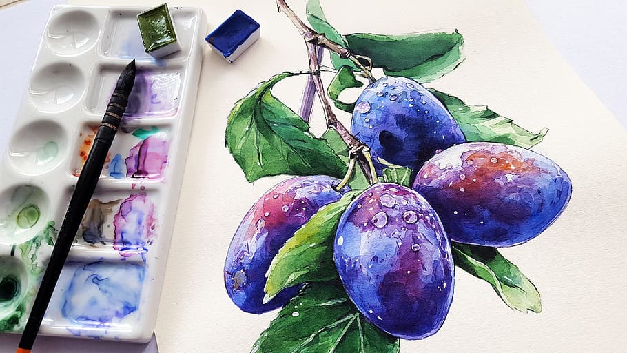 plum, fruit, painting, watercolor, art, paper, colors, a variety of, painted, your watercolor