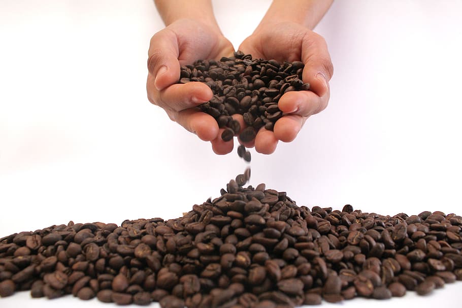 кофе, кофейные зерна, аромат, кофеин, Стимулирующий, вкусно, жареный кофе, Руки, капучино, Пища
