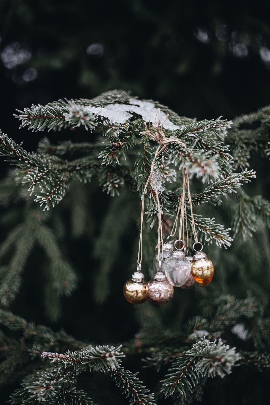 decoração chique do feriado, árvore, decoração, decorações, férias, natal, bolas de natal, ao ar livre, enfeites, inverno