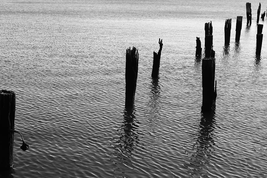 madera, pilares, agua, ondas, blanco y negro, poste, poste de madera, frente al mar, naturaleza, tranquilidad