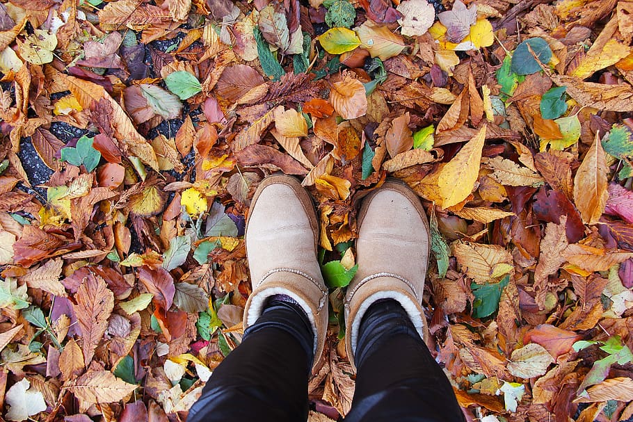 shoe, enjoy, fall, leaf, season, nature, color, colorful, yellow, orange |  Pxfuel