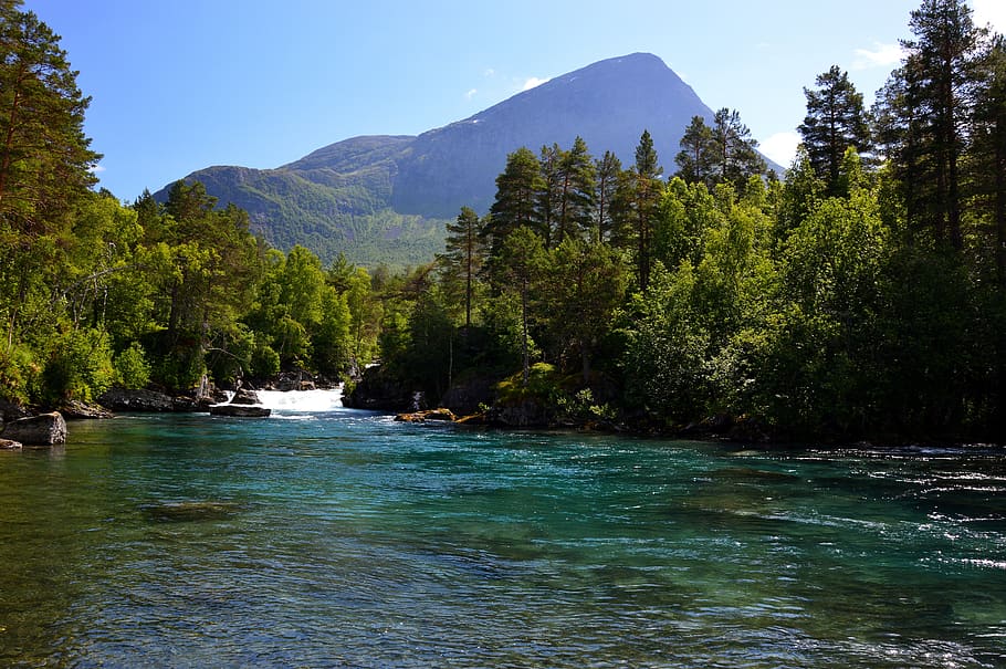 paisaje, naturaleza, vacaciones, río, montaña, cascada, noruega, agua, árbol, belleza en la naturaleza