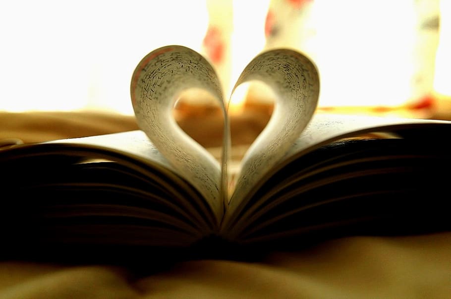 diario, beneficios, registro, amor, para siempre, cama, cortina, publicación, libro, forma de corazón