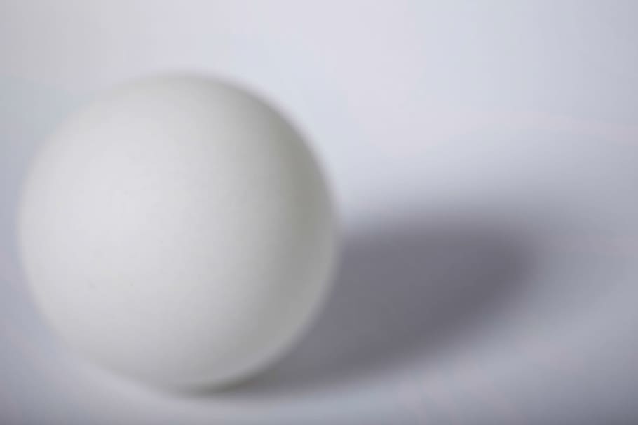 branco, bola, esfera, sombra, círculo, volta, realista, esfera branca, piscina, ovo