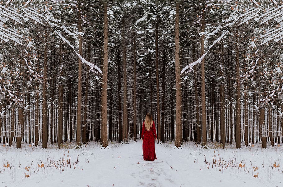tree, plant, forest, snow, winter, people, girl, alone, red, dress