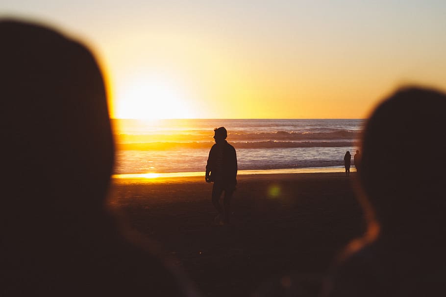 people, guys, friends, beach, walking, sunset, sky, dark, blur, horizon