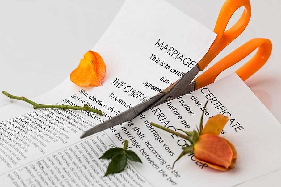 divorcio, papel, trabajo, matrimonio, certificado, texto, color naranja, sin gente, documento, escritura occidental