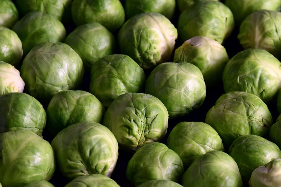 brussels sprouts, vegetables, green, healthy, winter vegetables, background, eat, raw, fresh, round