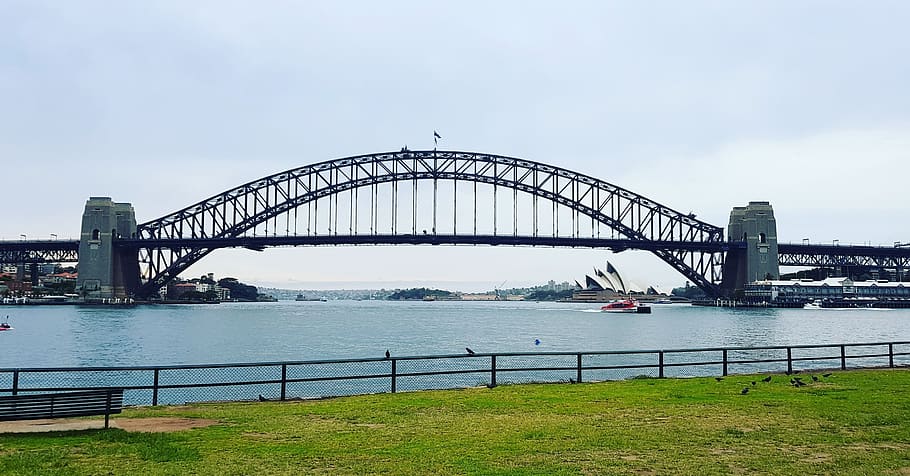 Sydney, jembatan pelabuhan, rumput, air, pelabuhan, luar, di luar rumah, cerah, siang hari, taman