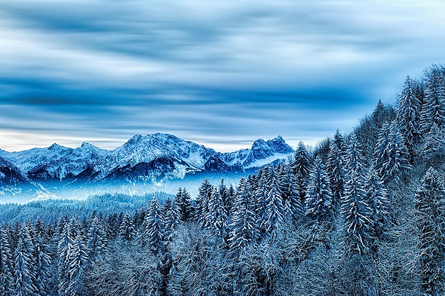 snow, winter, forest, nature, cold, mountain, allgäu, alpine, trees, conifers