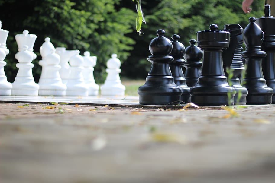 xadrez, começo, limpar, vitória, reis, jogar, estratégia, desafio, estratégico, rainha