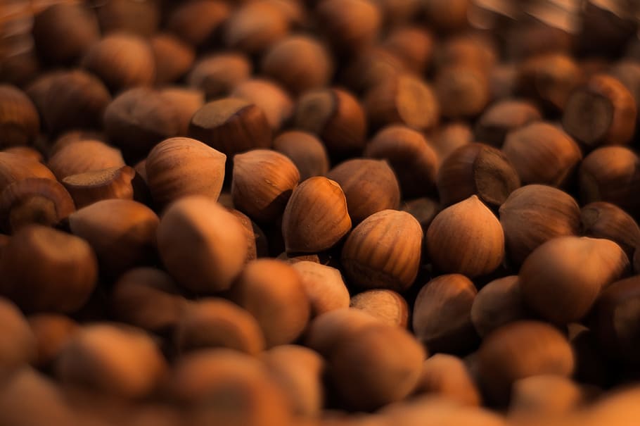 hazelnuts, food, food and drink, large group of objects, healthy eating, nut - food, freshness, selective focus, abundance, brown