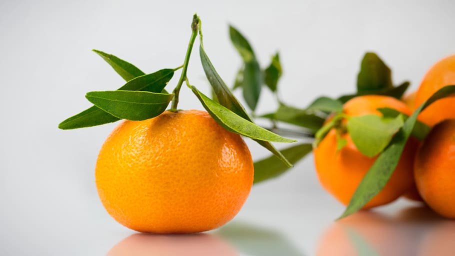 mandarines, citrus, fruit, green, leaf, leaves, mandarine, orange, food, orange color