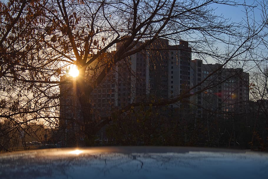 Город солнца уфа. Вид из окна улица деревья голые. Sun comes out photo.