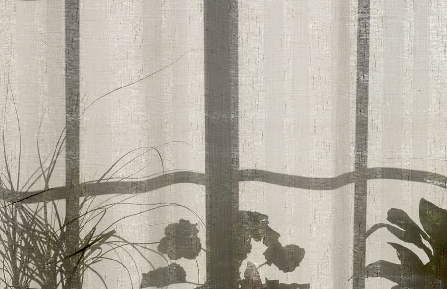 house, home, plants, curtain, window, shadow, plant, day, tree, nature
