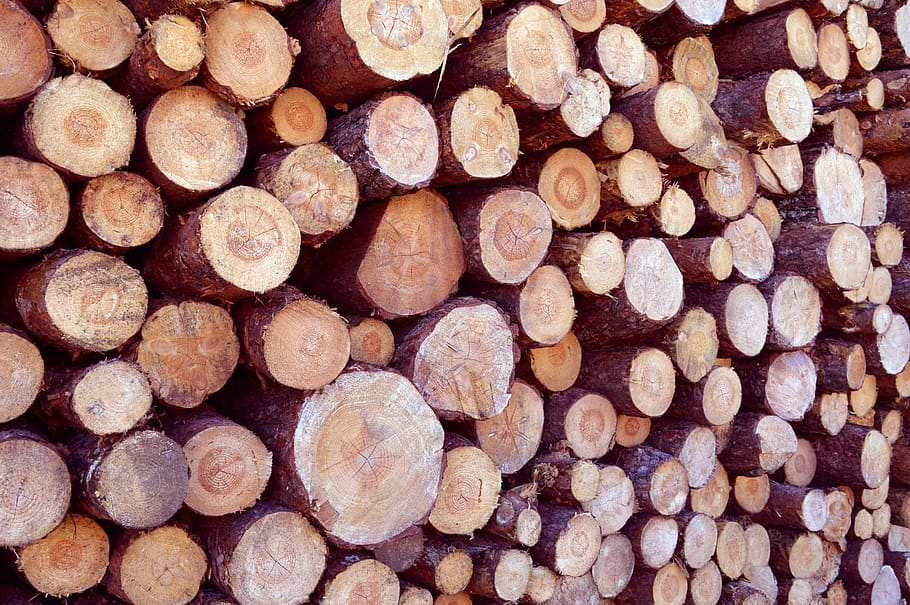 wood, trunk, forest, trees, texture, tree, stack, lena, woodpile, court