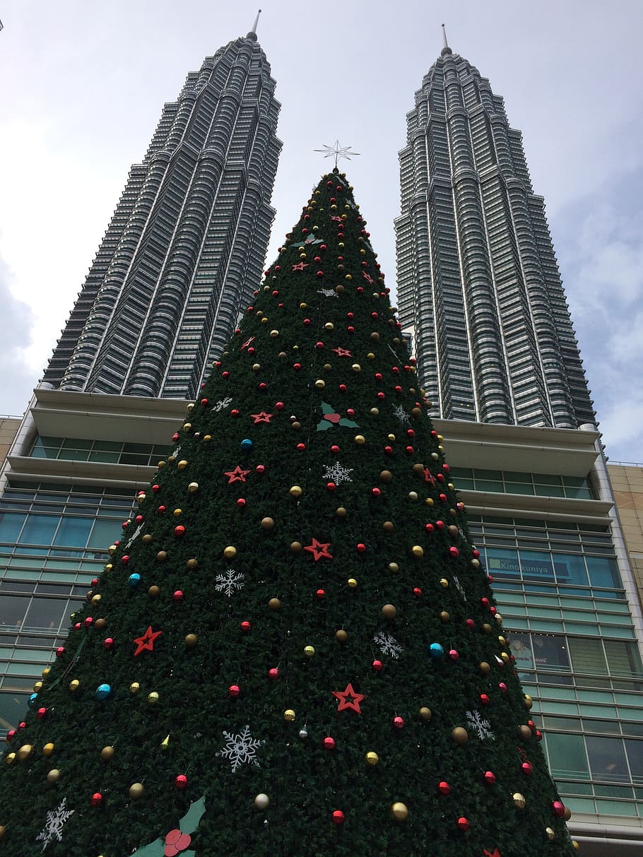 christmas, kuala lumpur, twin towers, malaysia, petronas, skyscrapers, symmetry, tall, landmark, tree
