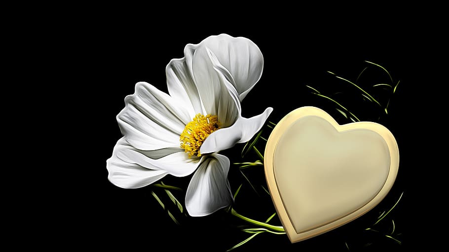 trauerkarte, corazón de oro, luto, esperanza, tarjeta floral, flor, floración, emoción, fondo, consuelo