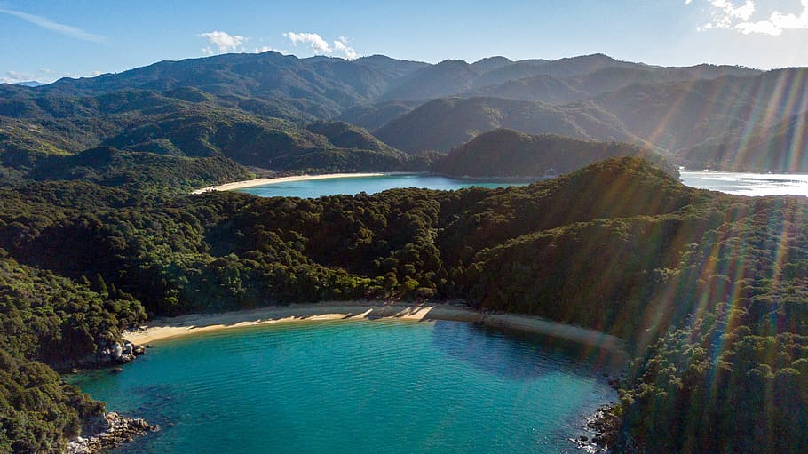 abel tasman, drone, new zealand, sea, bay, nature, landscape, water, scenics - nature, mountain