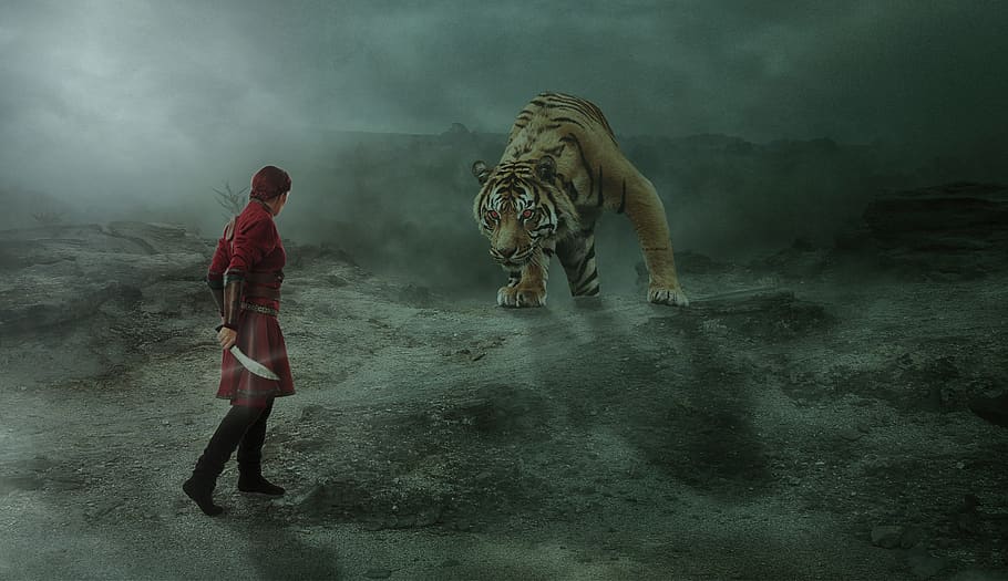 human, nature, tiger, courage, risk, gloomy, fairy tales, fantasy, hope, mammal
