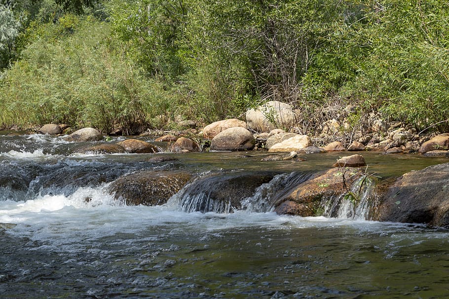 stream, creek, rocks, waterfall, riffle, water, rock, flowing, flow, tree
