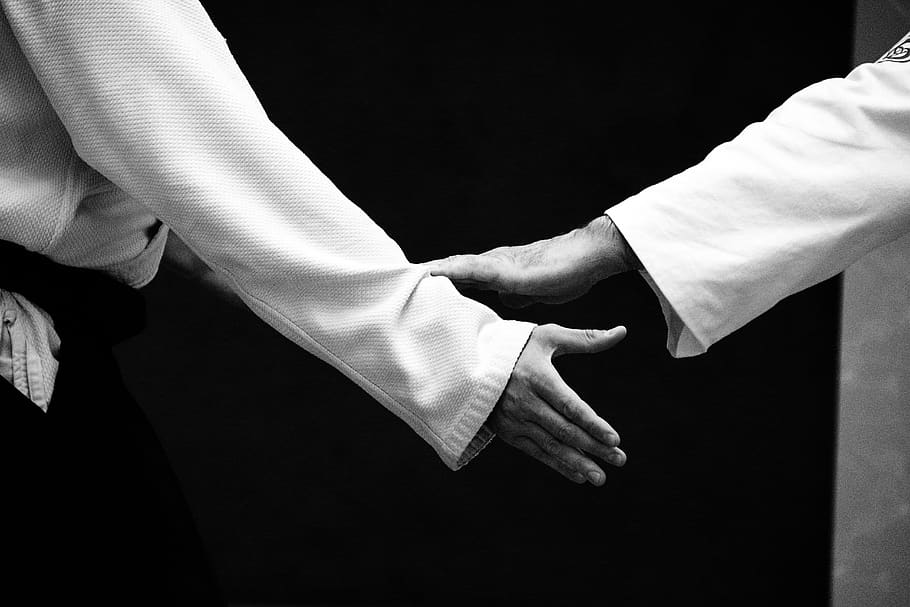 aikido, self-defense, training, human hand, hand, two people, human body part, men, love, togetherness