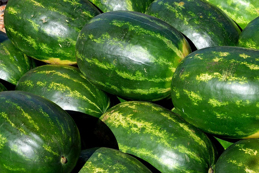 watermelon, melon, fruit, food, healthy, red, green, fresh, summer, nutrition