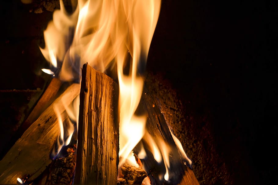 burning fire, various, fire, burning, flame, fire - natural phenomenon, heat - temperature, wood - material, log, motion