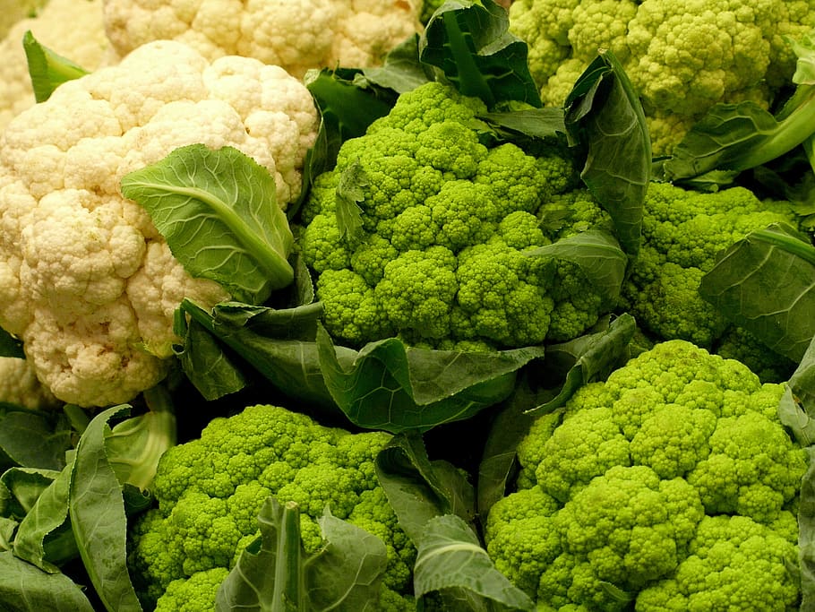 cabbage, vegetables, sano, food, green, alimentari, leaves, garden, eat, agriculture