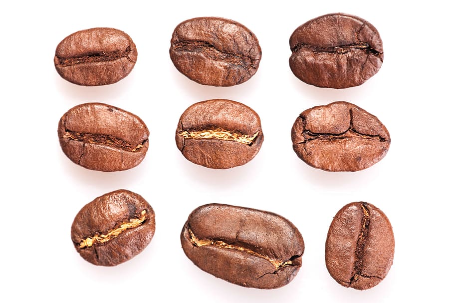 roasted, coffee, beans, drink, life, cup, mocha, brown, black, drop