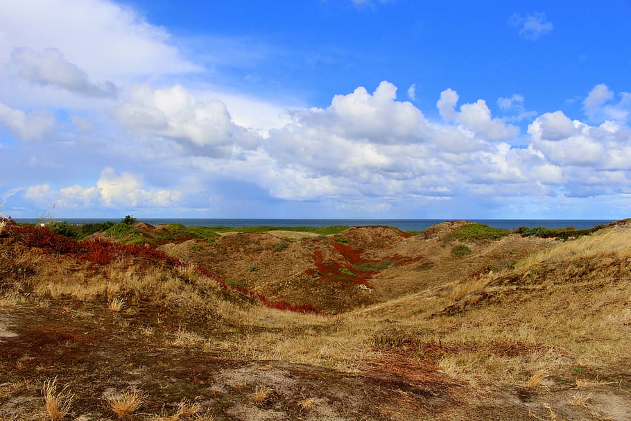 langeoog, island, east frisia, coast, north sea, nature, sky, sea, landscape, panorama