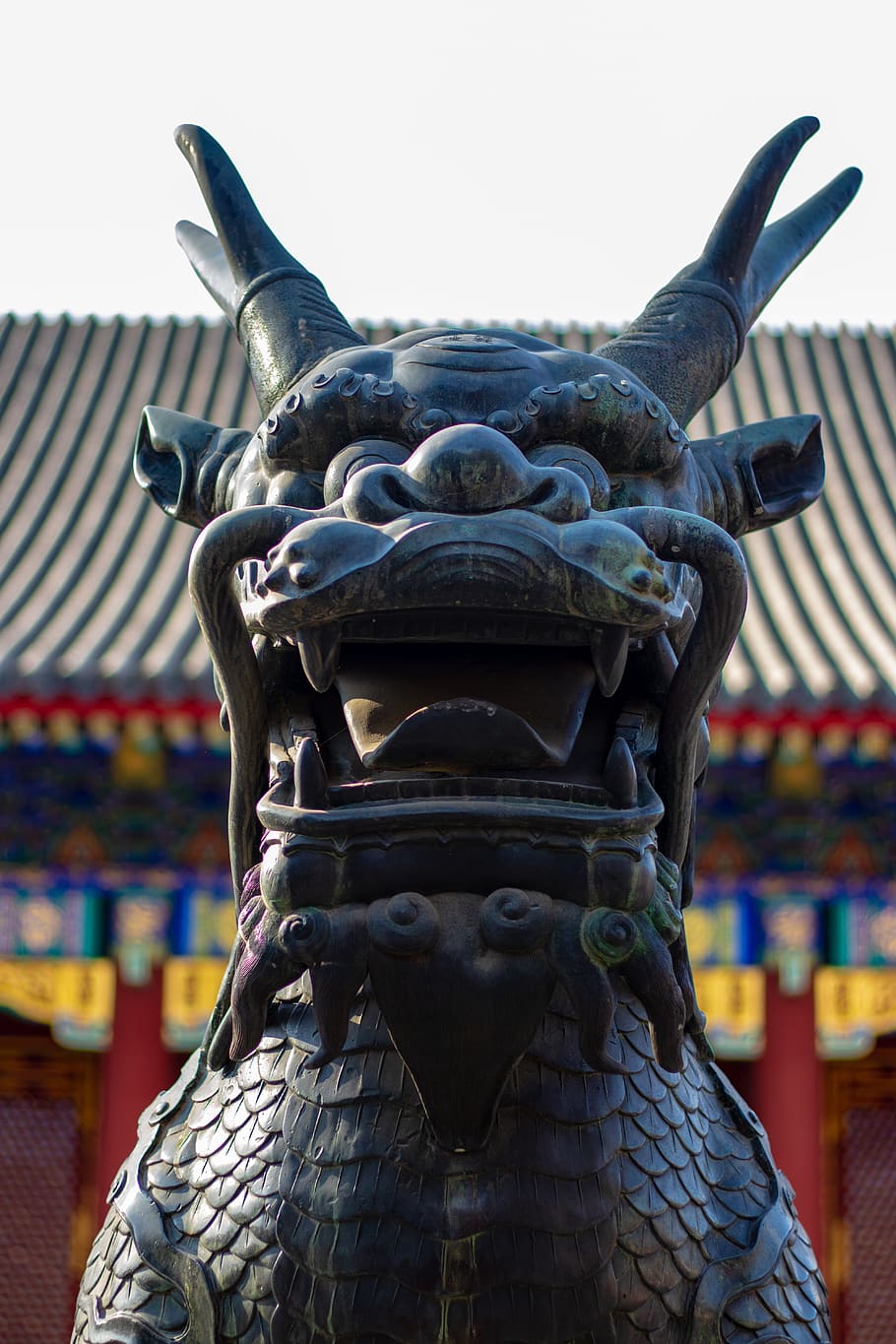 Pequim, palácio de verão, figura do dragão, detalhes, ásia, capital, palácio, palácio do jardim, complexo do palácio, local de interesse