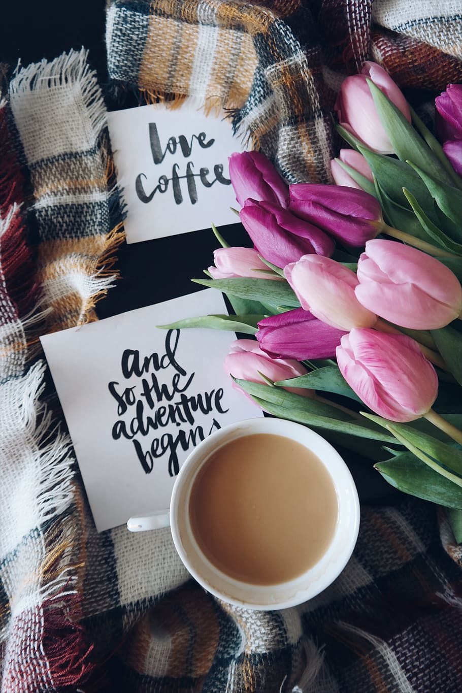 café, caliente, taza, blanco, letras, cita, flor, rosa, tulipán, hojas