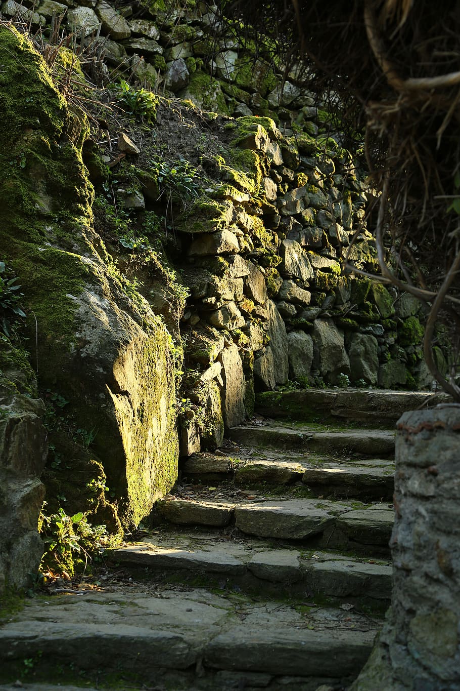 woods, forest, stone stairs, mossy stairs, moss, calming, sunlight, autumn, nature, hiking