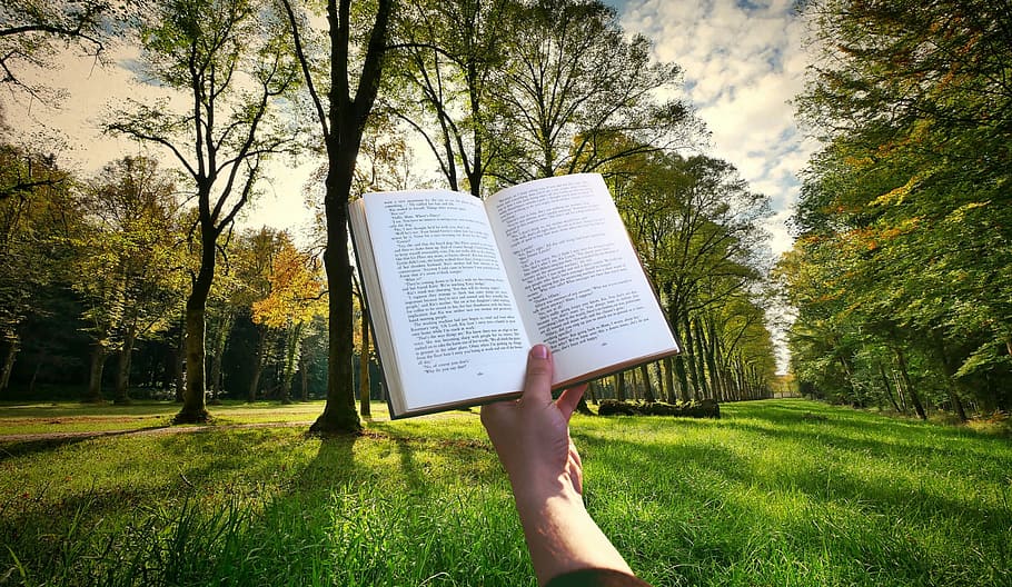 livro, realizada, um, mão, leitura, parque, agradável, dia., ler, pôr do sol