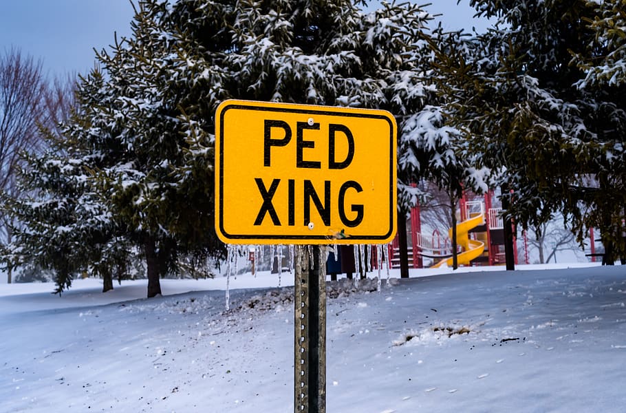 snow, sign, nature, white, winter, weather, trees, playground, yellow, ped xing