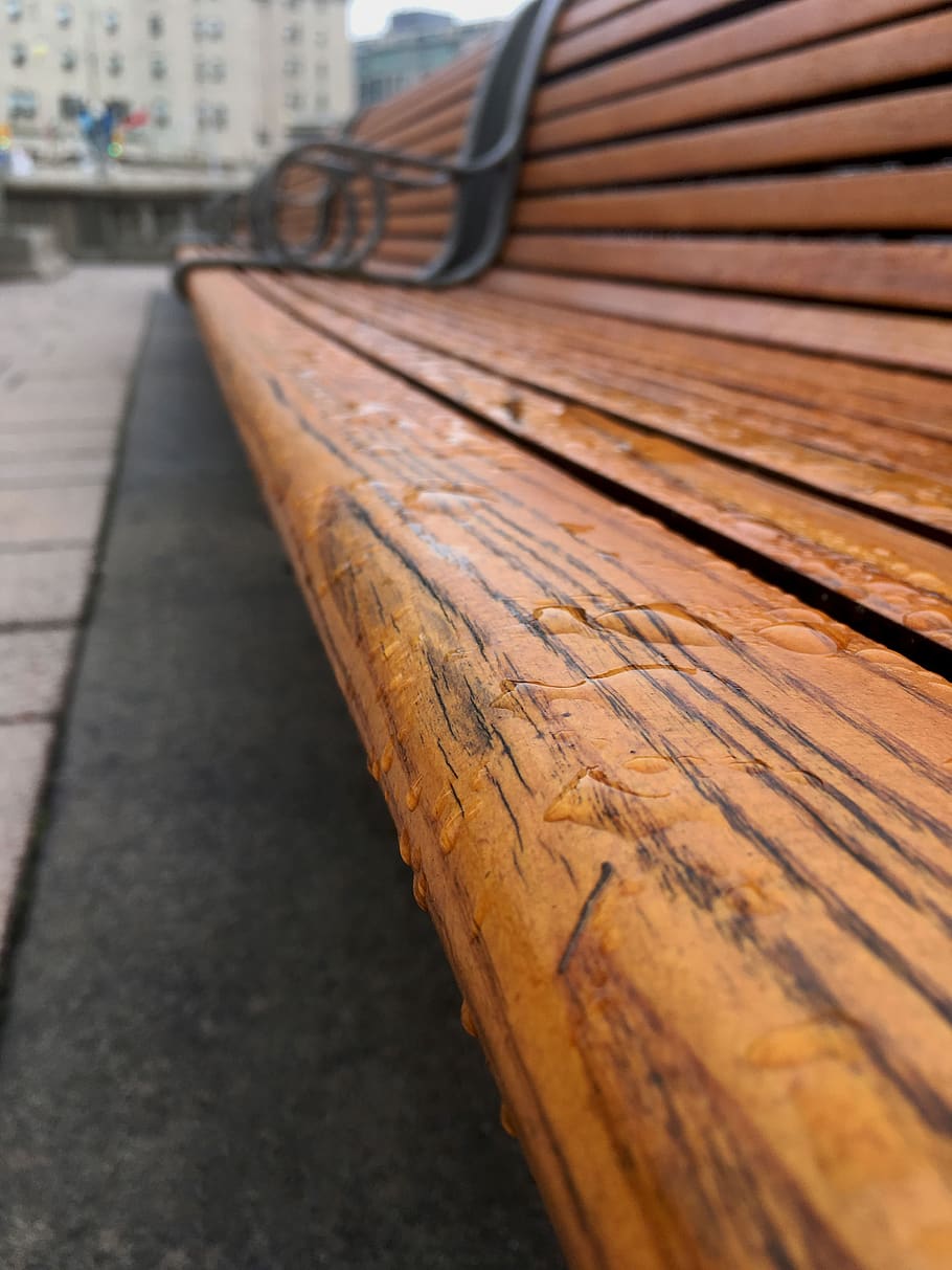 bench, rain, water, weather, wood, wood - material, focus on foreground, day, pattern, metal