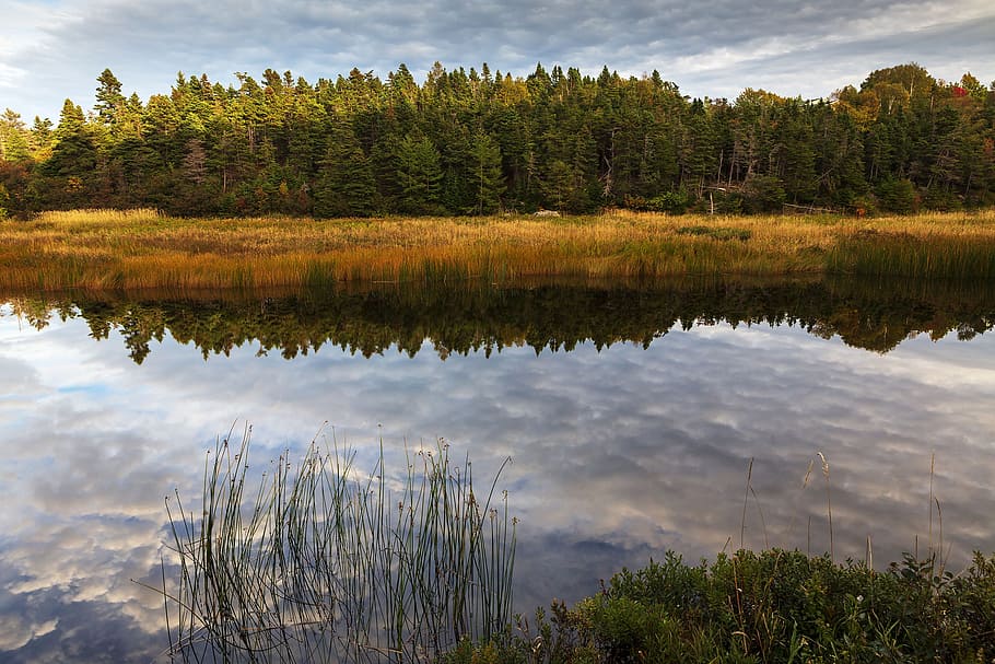 warna musim gugur, refleksi, jejak sungai, jejak., newfoundland dan labrador, kanada, musim gugur, tenang, damai, alam