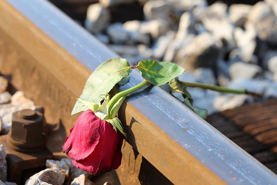 mawar merah yang sedih di atas rel, cinta yang hilang, memori yang penuh kasih, tragedi, tragis, traumatis, kesengsaraan, emosi yang dalam, kesedihan, mengingat