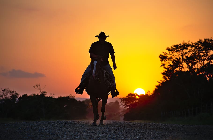 horse, cowboy, silhouette, summer, nature, sky, landscape, sunlight, color, orange