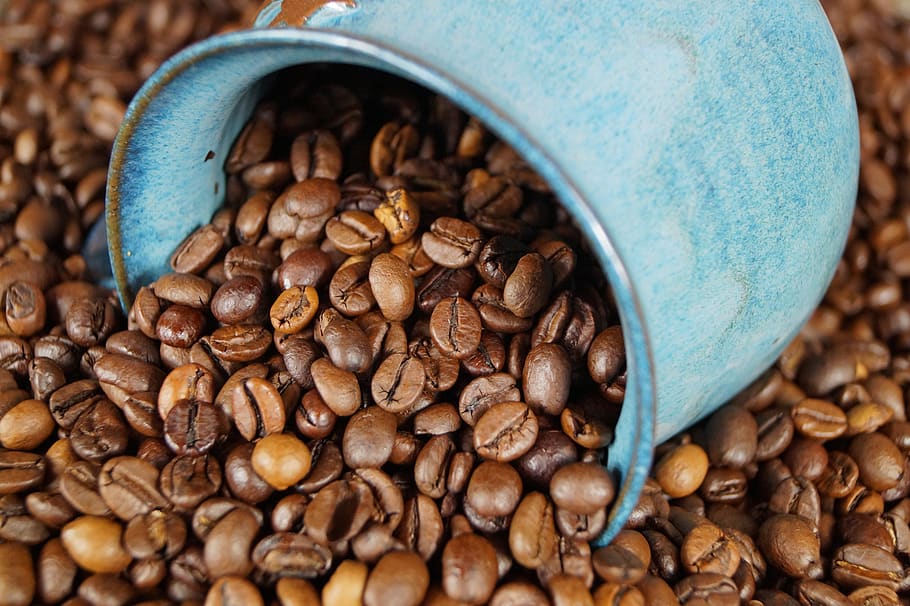 ceramic, coffee, coffee bean, coffee cup, coffee mugs, drink, cup, blue, grinder, espresso