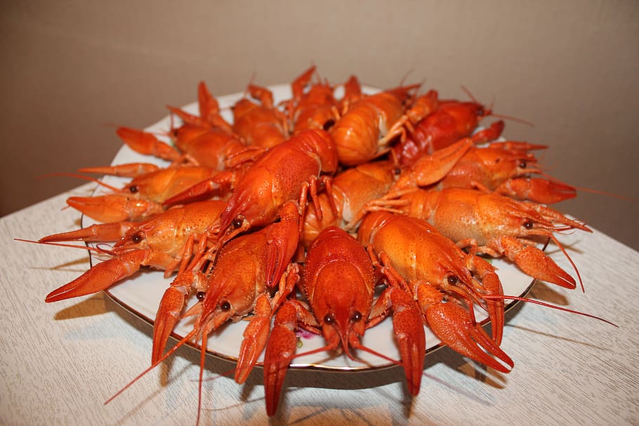 crayfish, boiled crawfish, red crayfish, food, appetizer, seafood, crustacean, food and drink, indoors, freshness