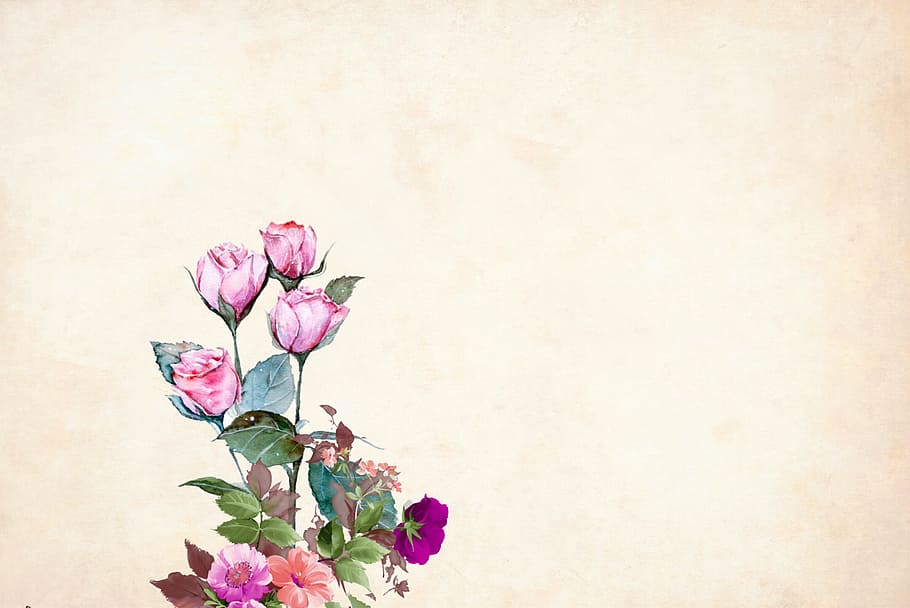 ilustrado, fundo da flor, rosa, flores., flor, floral, fundo, fronteira, moldura de jardim, vintage
