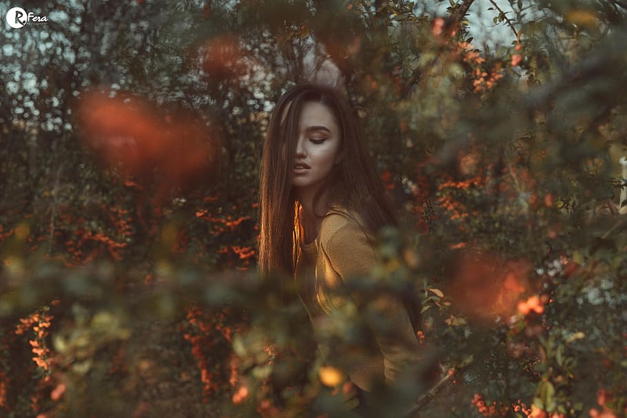 model, beauty, pretty, sweet, girl, nature, tree, trees, gold, golden hour