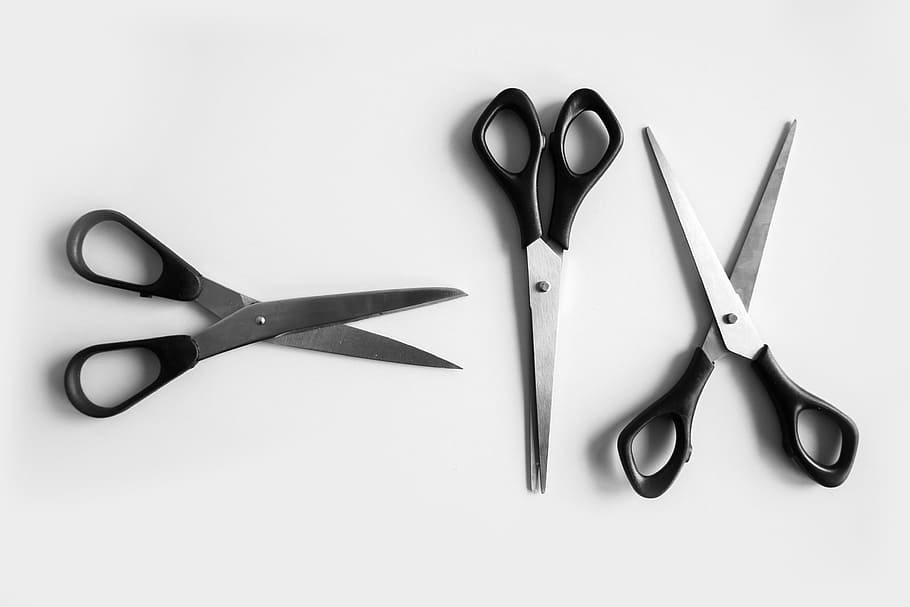 office scissors, various, office, stationery, scissors, indoors, studio shot, white background, metal, choice