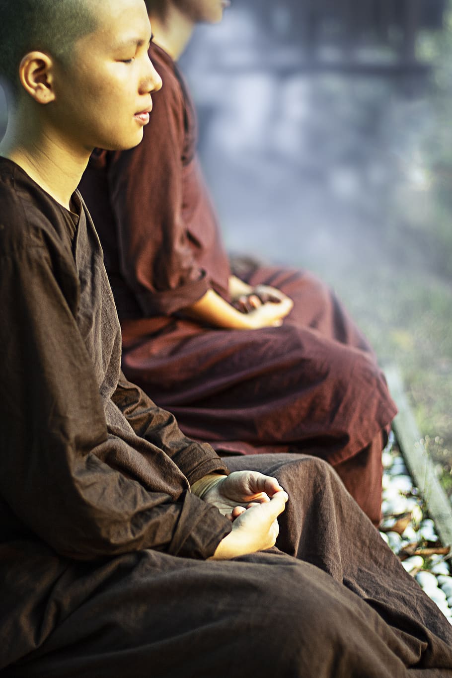 meditação, sayalay, freira, theravada, budismo, meditar, budista, meditando, sentado, uma pessoa