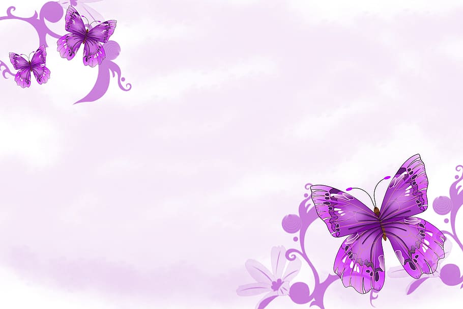 background, sketch, paint, painting, art, plant, flower, flowering plant, freshness, pink color