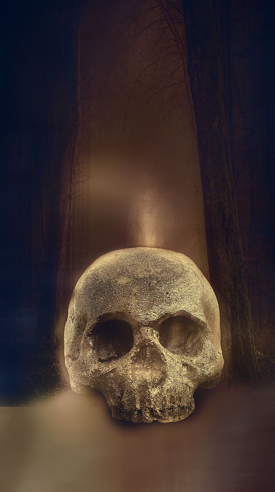 skull, skeleton, horror, halloween, scary, background, human skeleton, human skull, bone, spooky