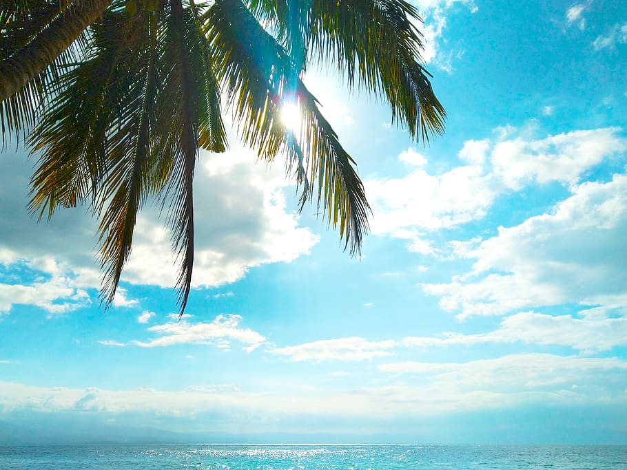 summer, beach side, sea, nature, travel, blue, landscape, tropical, beach, philippines